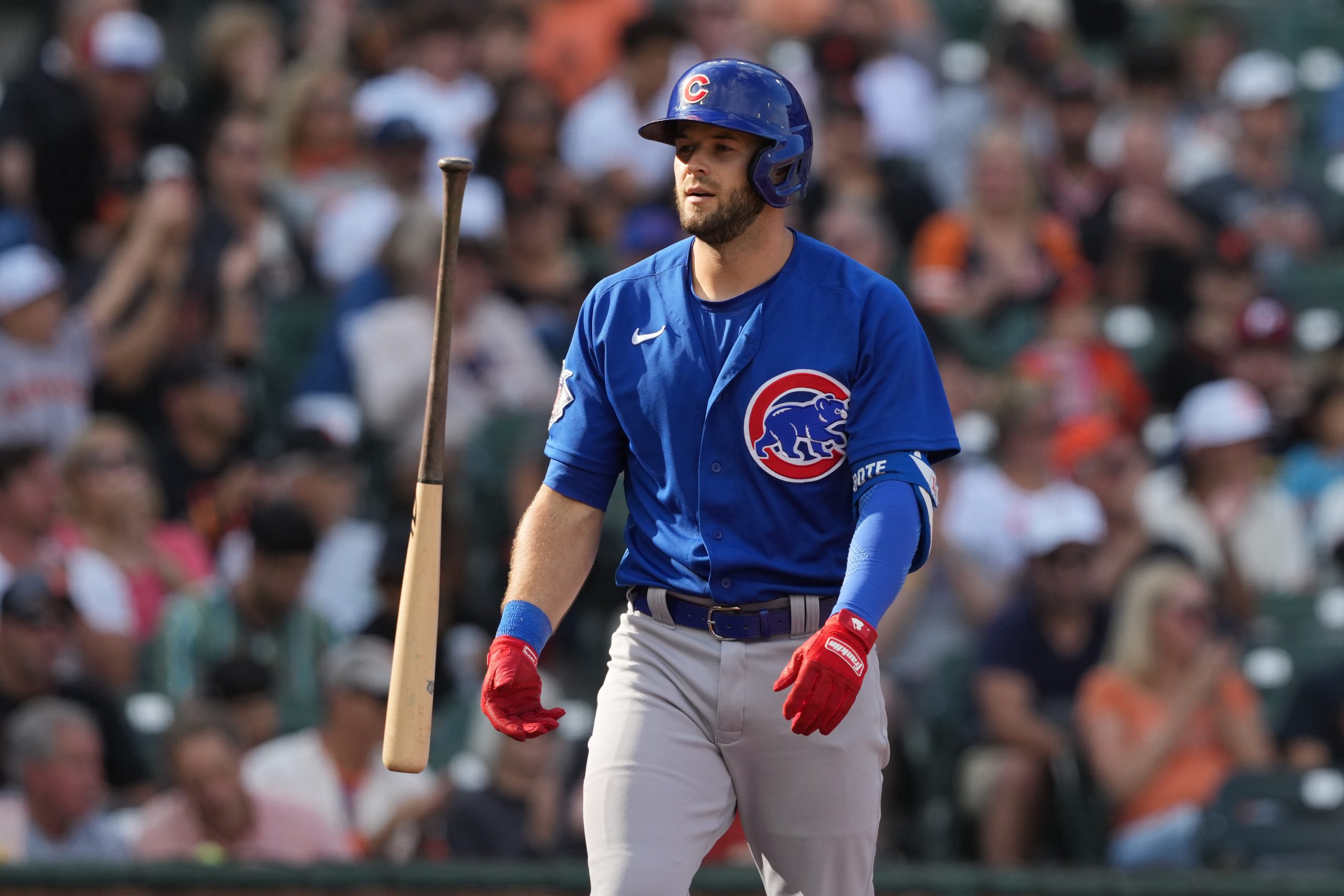 Betting on the Chicago Cubs